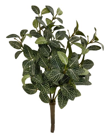 shishi Fittonia mini bush green white 30cm