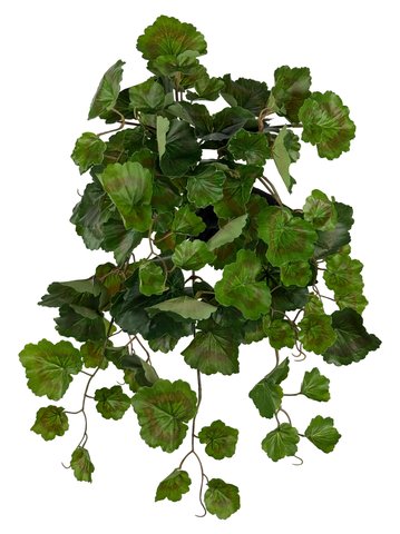 shishi Geranium bush green 45cm UV PROOF