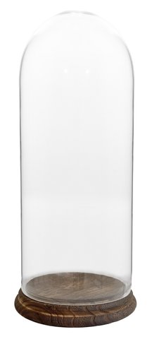 shishi Glass dome d21;h53cm dark brown base