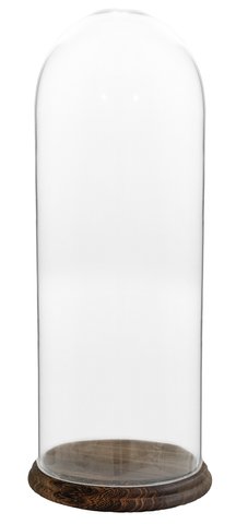 shishi Glass dome d27;h73cm dark brown base