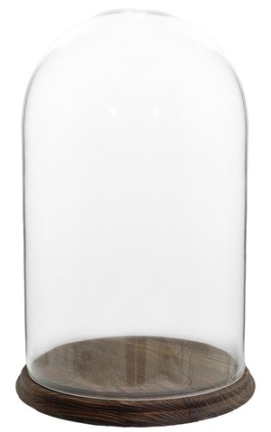 shishi Glass dome d30;h50cm dark brown base