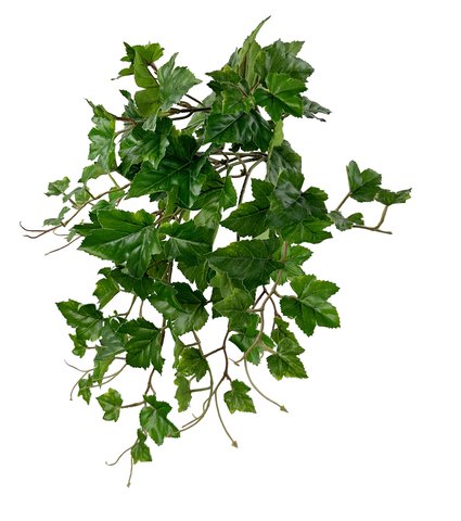 shishi Grape bush green 45cm UV PROOF