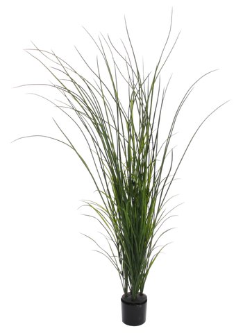 shishi Grass green potted 145cm UV RESISTANT