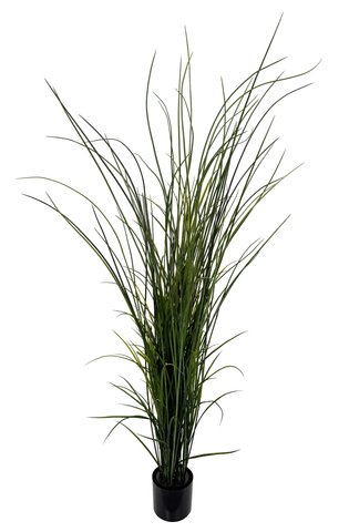 shishi Grass green potted 160cm UV RESISTANT