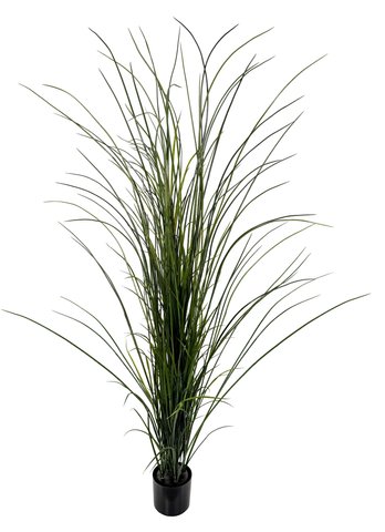 shishi Grass green potted 180cm UV RESISTANT