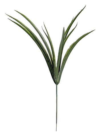 shishi Grass pick green 30cm