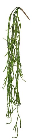 shishi Hanging cactus green 150cm