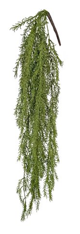 shishi Hanging plant green 95cm