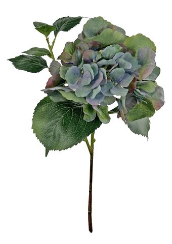 shishi Hydrangea green 38cm