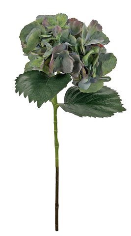 shishi Hydrangea green 66cm