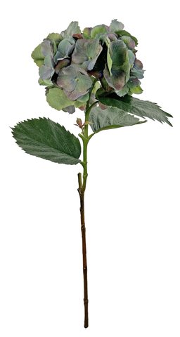 shishi Hydrangea green 79cm