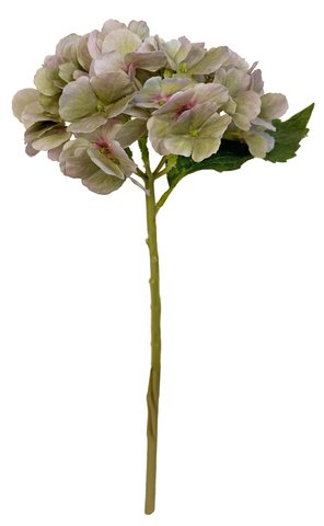 shishi Hydrangea lt purple 34cm