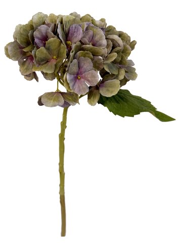 shishi Hydrangea purple green 34cm
