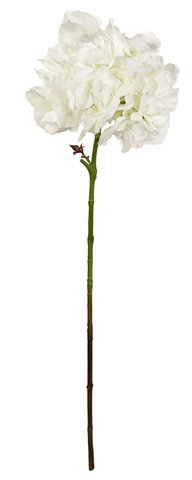 shishi Hydrangea white 90cm