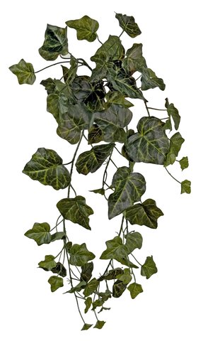 shishi Ivy bush green 70cm