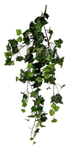 shishi Ivy bush green 99cm