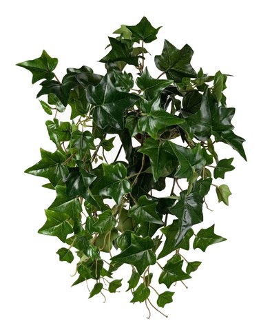 shishi Ivy bush UV proof green 50cm