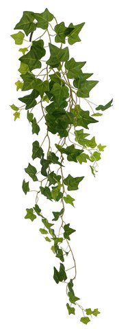 shishi Ivy garland 114cm