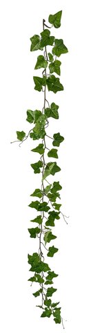 shishi Ivy garland small leaves 160cm UV PROOF