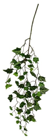 shishi Ivy vine green 104cm