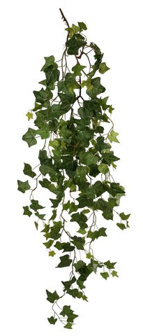shishi Ivy vine green 135cm
