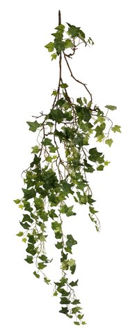 shishi Ivy vine green 160cm
