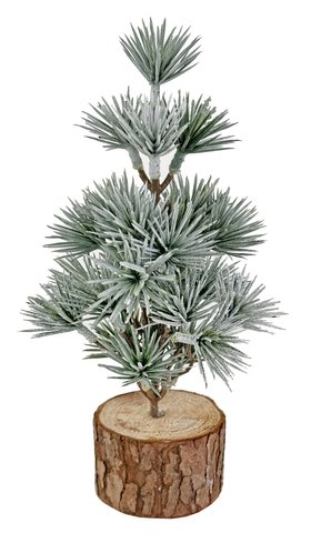 shishi Larix tree gray wooden base 20cm