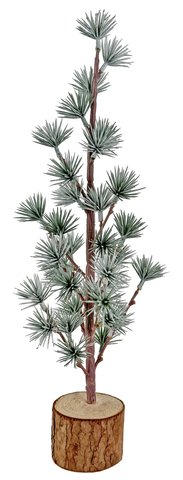 shishi Larix tree gray wooden base 40cm