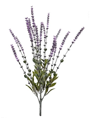 shishi Lavender bush purple 54cm