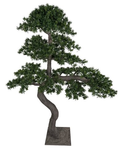 shishi Leaf bonsai on plate 200cm