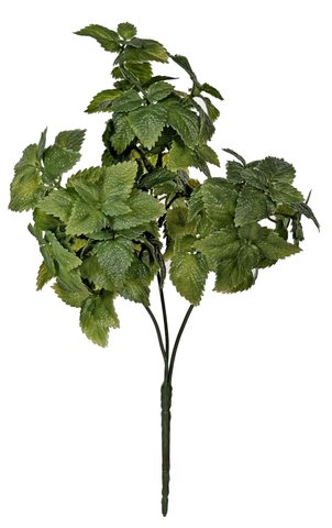 shishi Lemon leaf bush 32cm