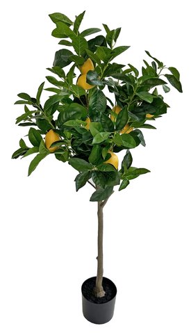 Shishi Lemon Tree Ball In Pot 130cm