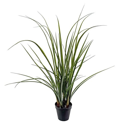 shishi Lemongrass potted green 105cm UV RESIST