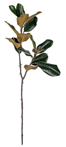 shishi Magnolia branch 96cm