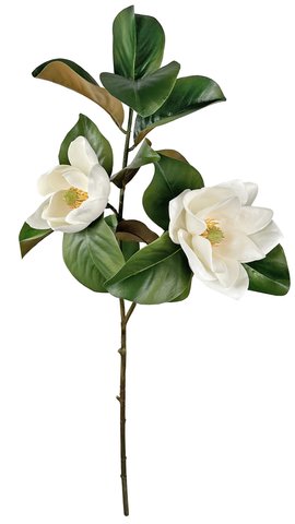 shishi Magnolia branch flowering white 110cm