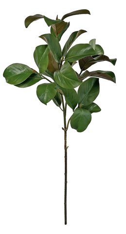 shishi Magnolia branch green 115cm