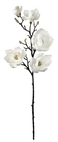 shishi Magnolia branch white 100cm