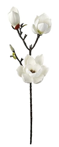 shishi Magnolia branch white 75cm