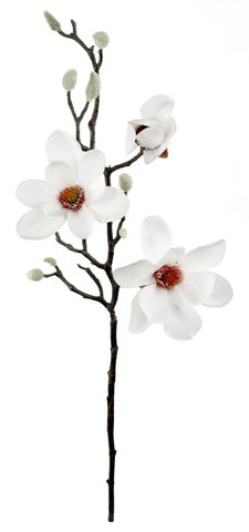 shishi Magnolia branch x 3 white 72cm