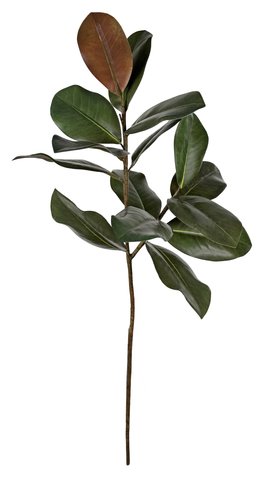 shishi Magnolia leaves 88cm
