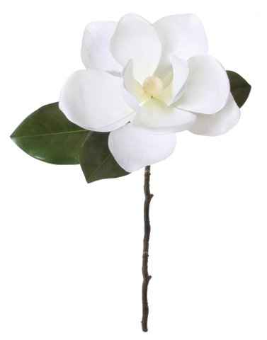 shishi Magnolia white 55cm