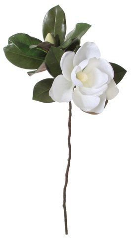 shishi Magnolia white 90cm