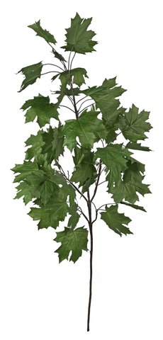 shishi Maple branch 140cm