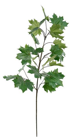 shishi Maple branch green 125cm