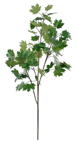 shishi Maple branch green 200cm