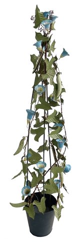 shishi Metal bindweed blue in pot h88cm