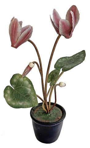 shishi Metal cyclamen plant 31cm