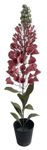 shishi Metal foxglove pink in pot h88cm