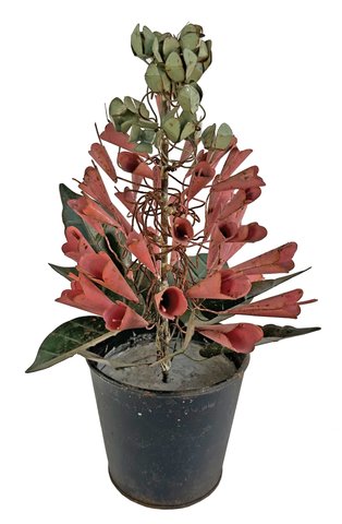 shishi Metal foxgloves pink in pot h30cm