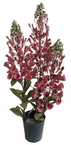 shishi Metal foxgloves pink in pot h93cm